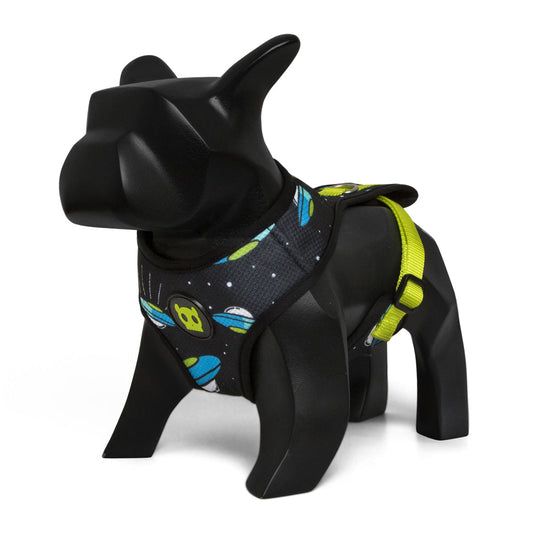 AREA 51 MESH HARNESS エリア51 メッシュハーネス