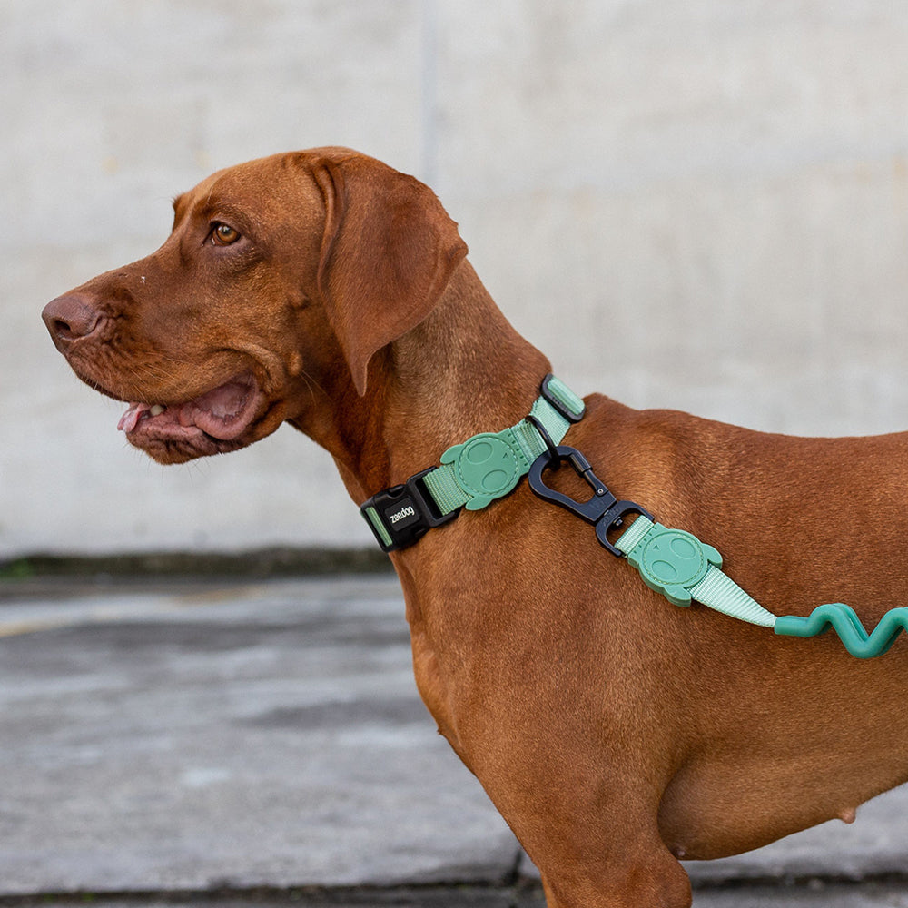 ARMY GREEN COLLAR アーミーグリーン カラー