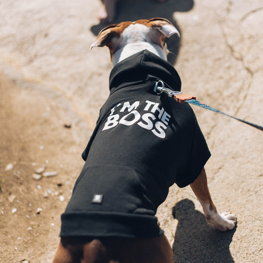 I'M THE BOSS HOODIE