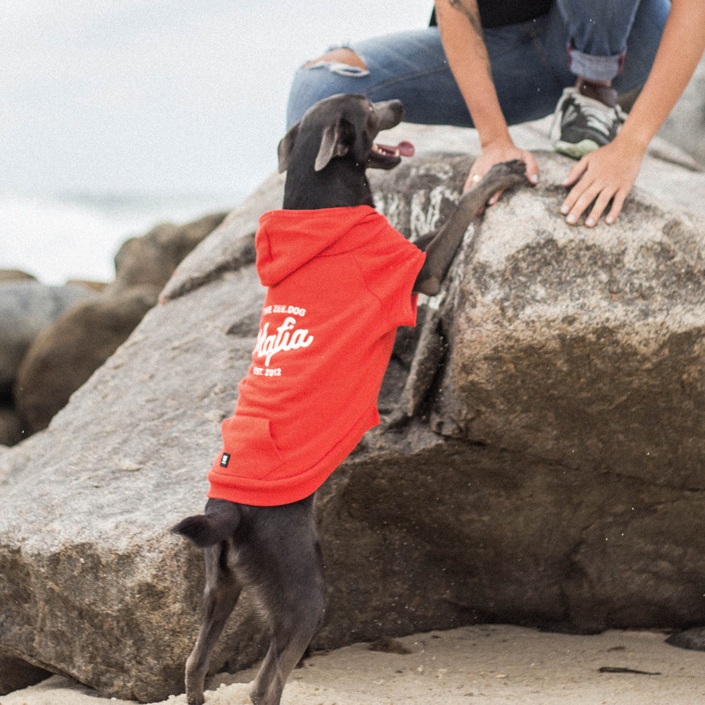 ZEE.DOG MAFIA HOODIE