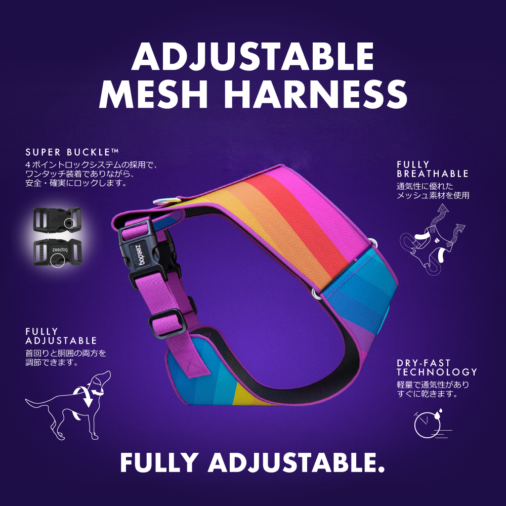 BLOOM ADJUSTABLE AIR MESH HARNESS ブルーム アジャスタブルメッシュハーネス
