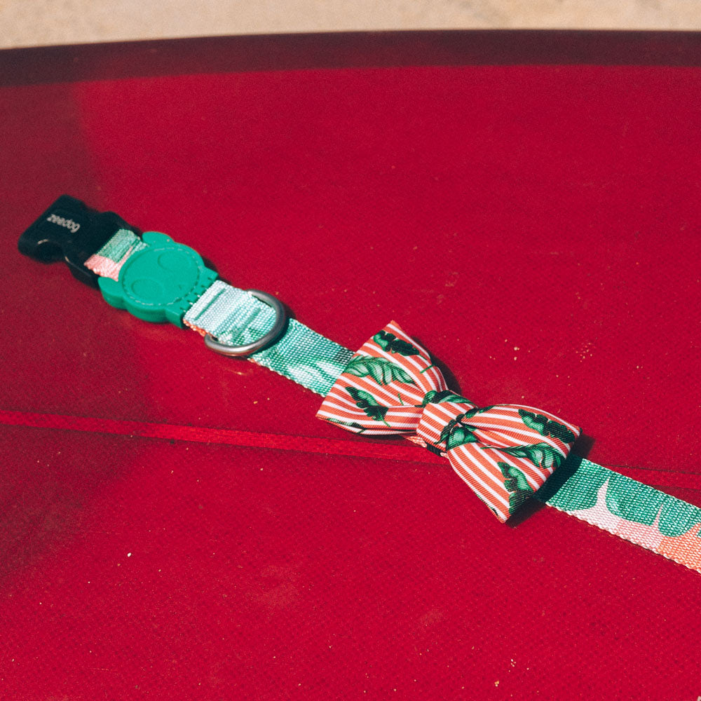 BALI BOW TIE バリ ボウタイ