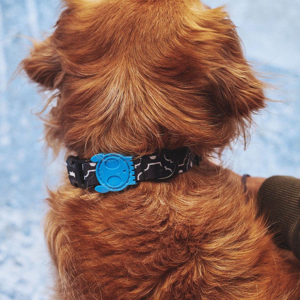 MAHLEB COLLAR マーレブ カラー