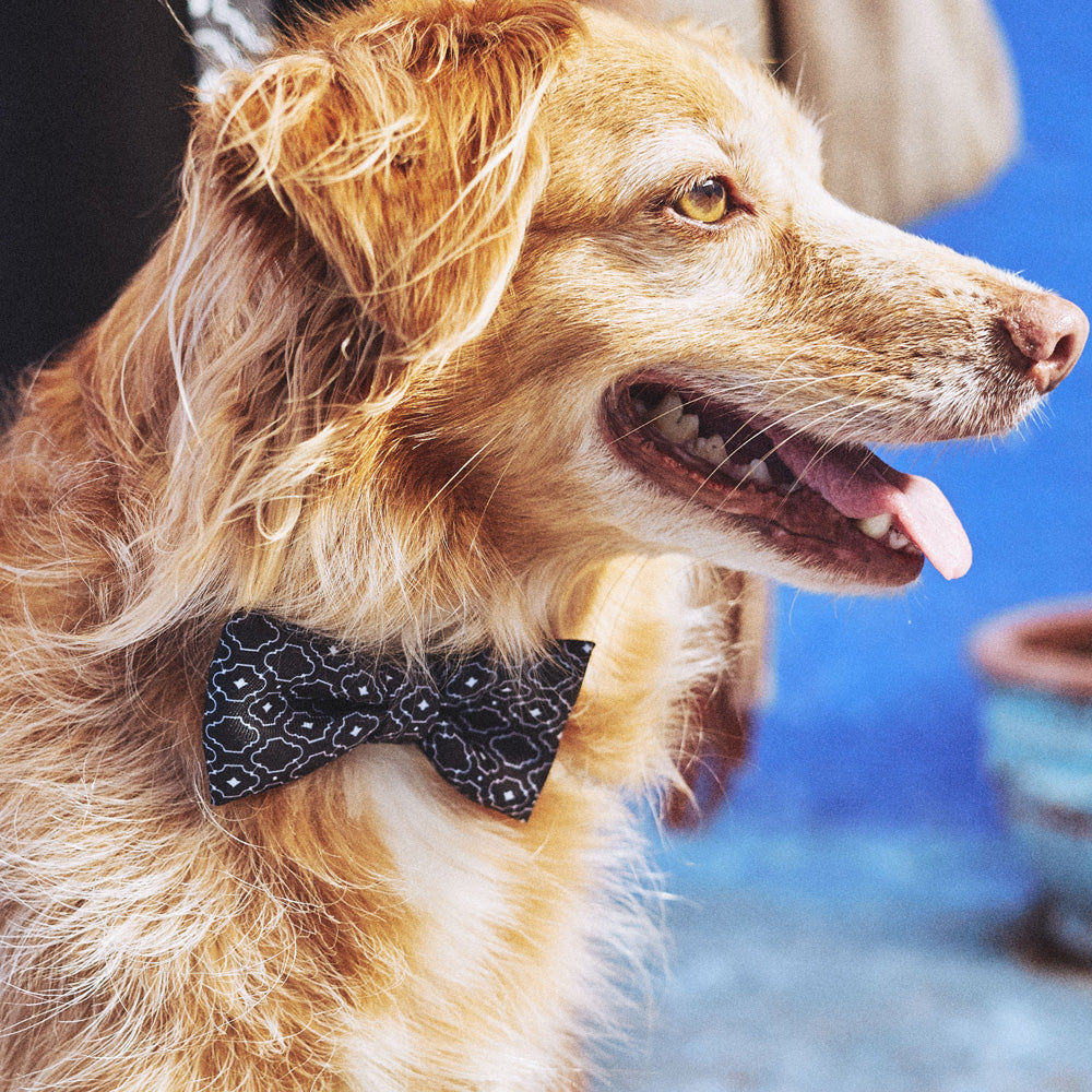 MAHLEB BOW TIE マーレブ ボウタイ