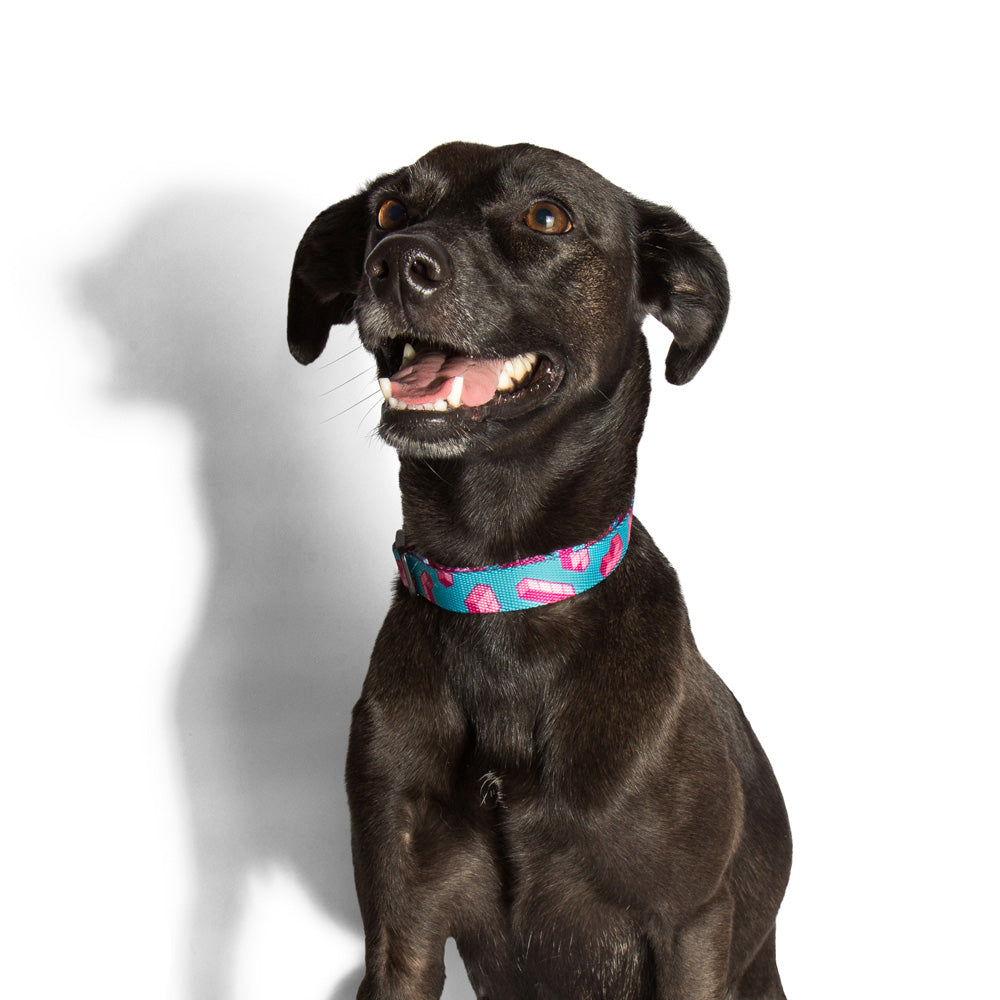 TETRIS COLLAR テトリス カラー