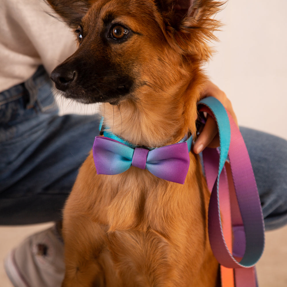 WAVE BOW TIE ウェイブ ボウタイ