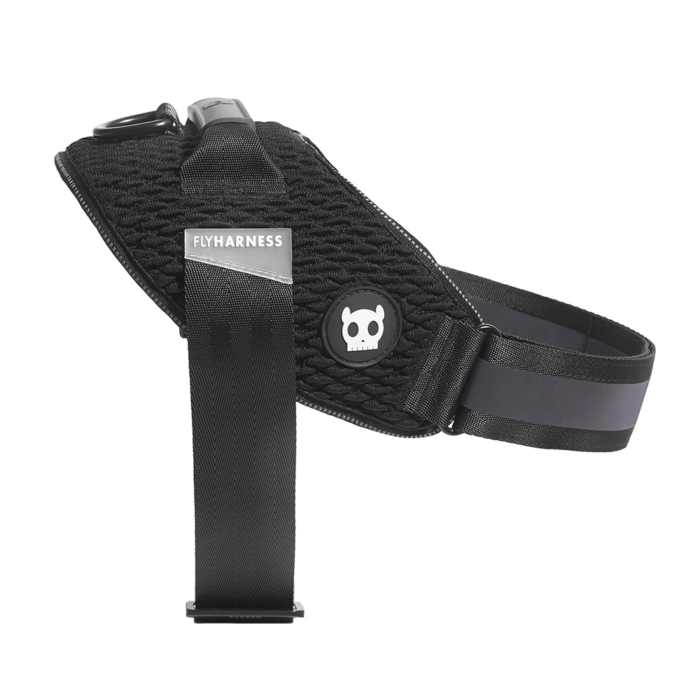 Fly harness