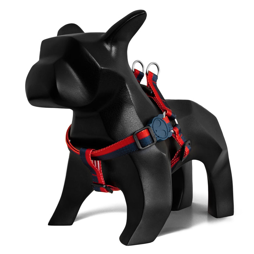 Stepin Harness