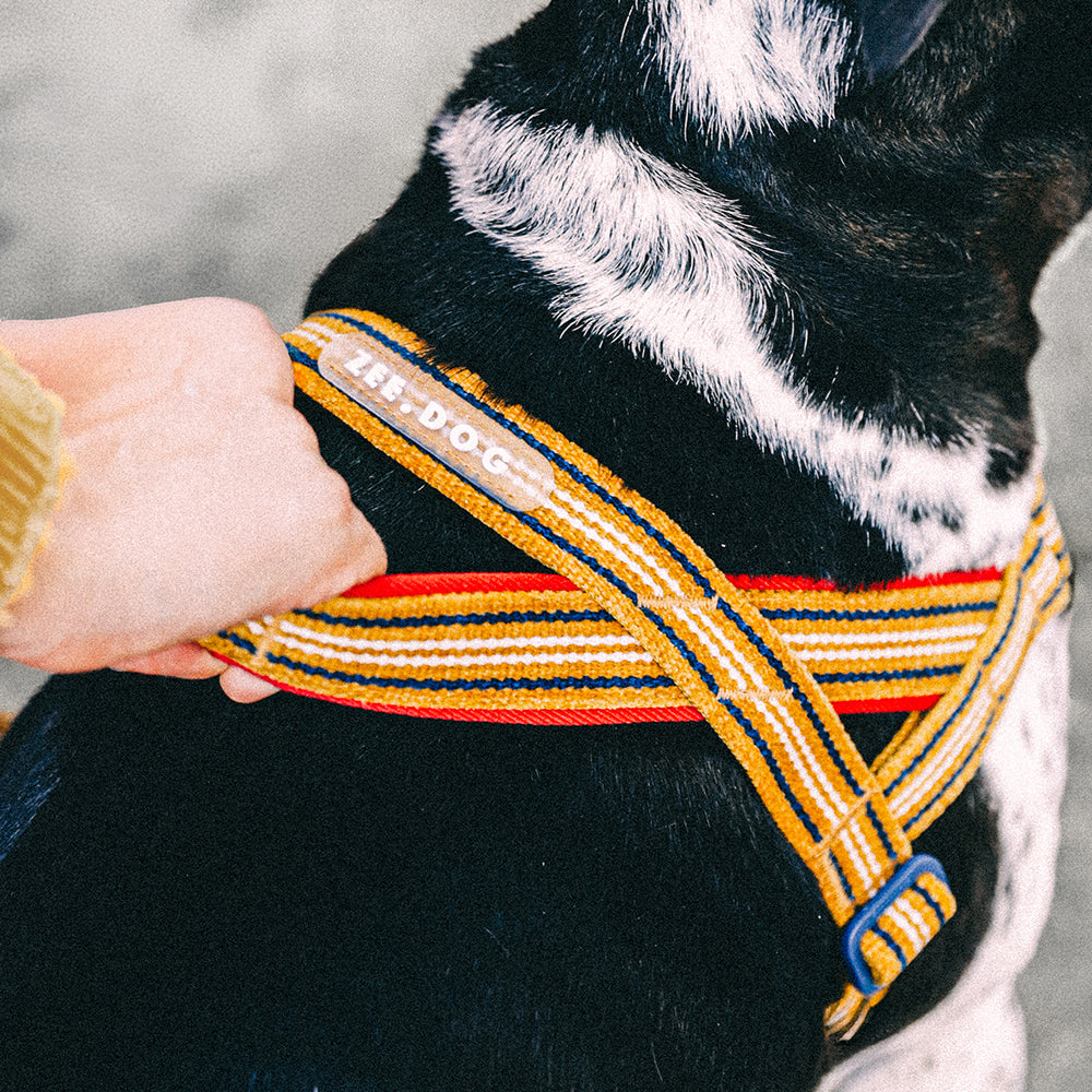 All Harness
