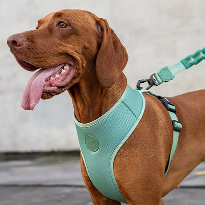 ARMY GREEN ADJUSTABLE AIR MESH HARNESS アーミーグリーン アジャスタブルメッシュハーネス