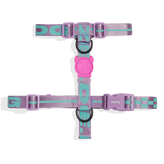 AURA H-HARNESS オーラ Hハーネス