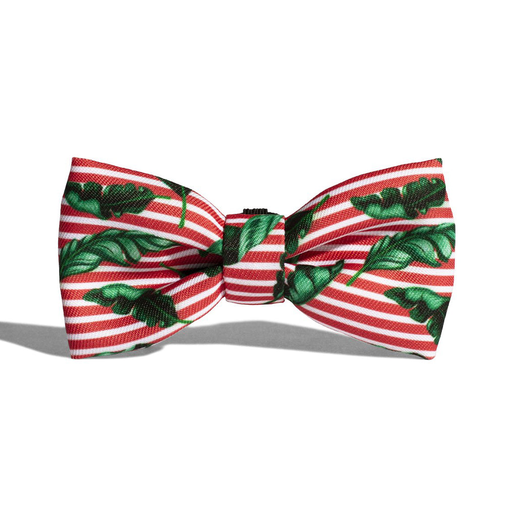 BALI BOW TIE バリ ボウタイ