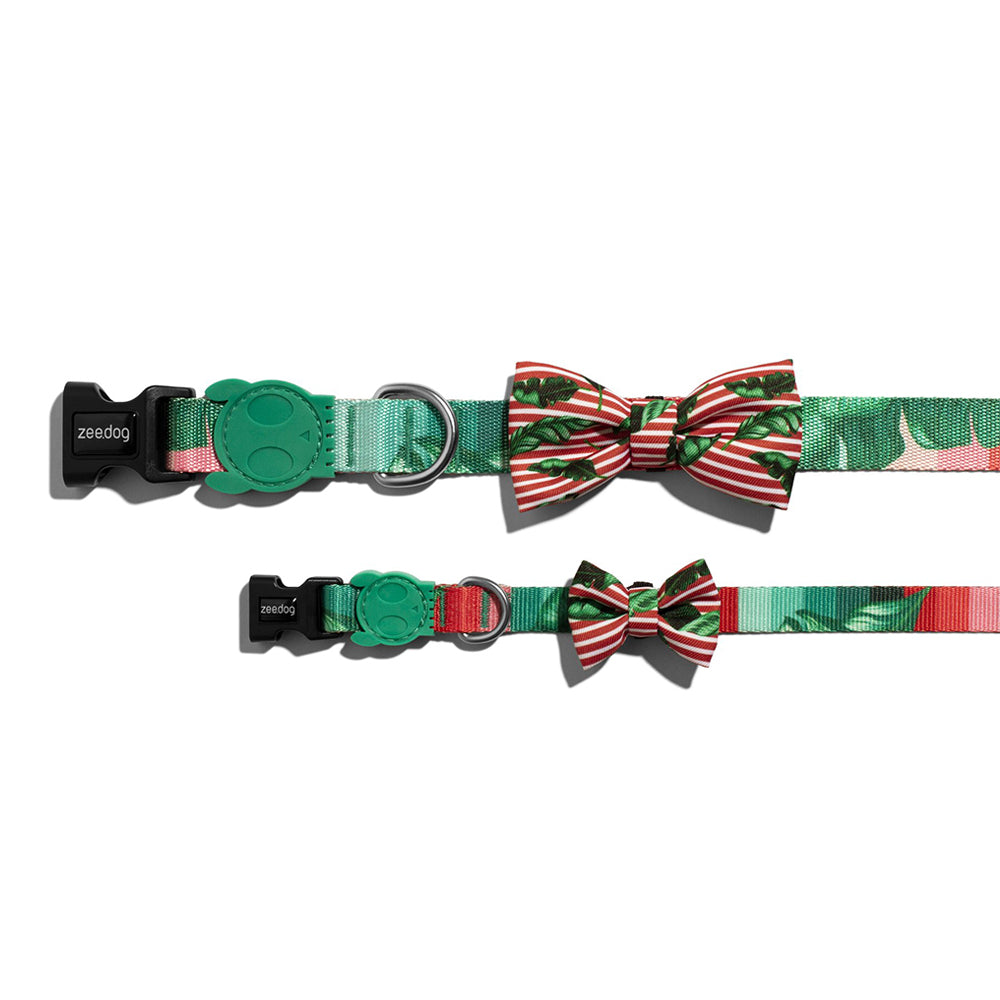 BALI BOW TIE バリ ボウタイ