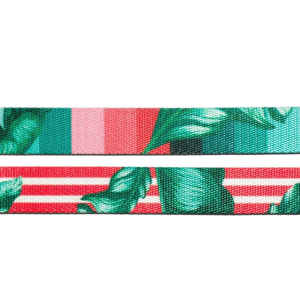 BALI LEASH バリ リード