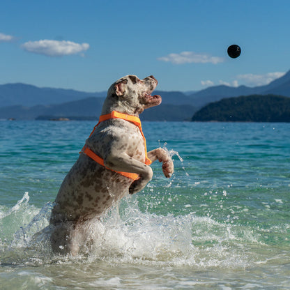 CANNON BALL