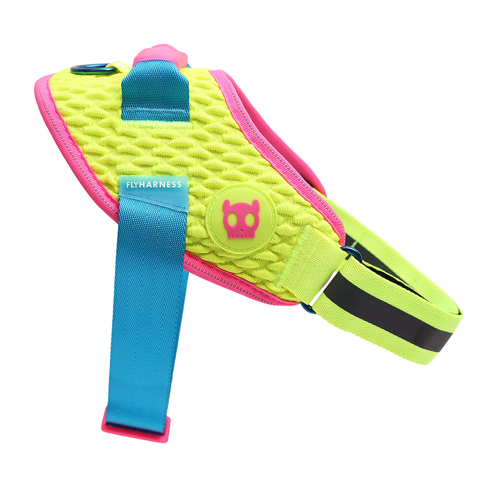 CMYK FLY HARNESS CMYK フライハーネス
