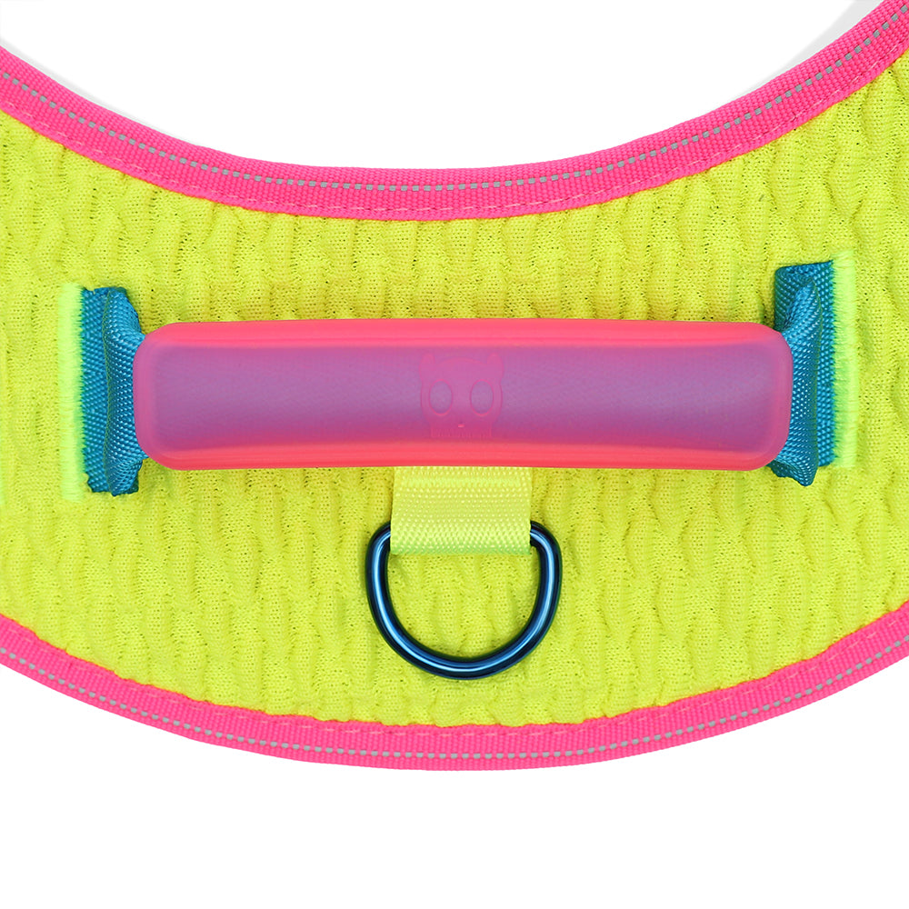 CMYK FLY HARNESS CMYK フライハーネス