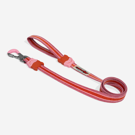 COURTNEY LEASH コートニー リード