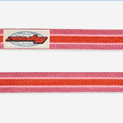COURTNEY LEASH コートニー リード