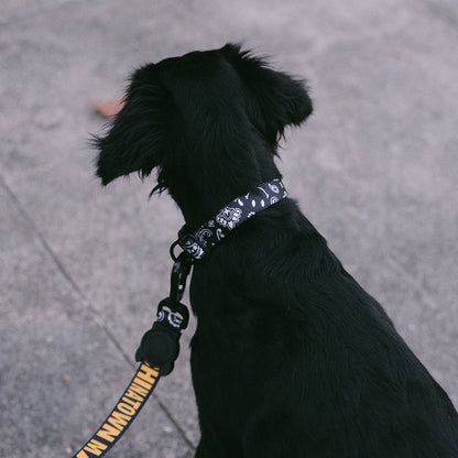 CTM BLACK COLLAR チャイナタウンマーケット ブラック カラー