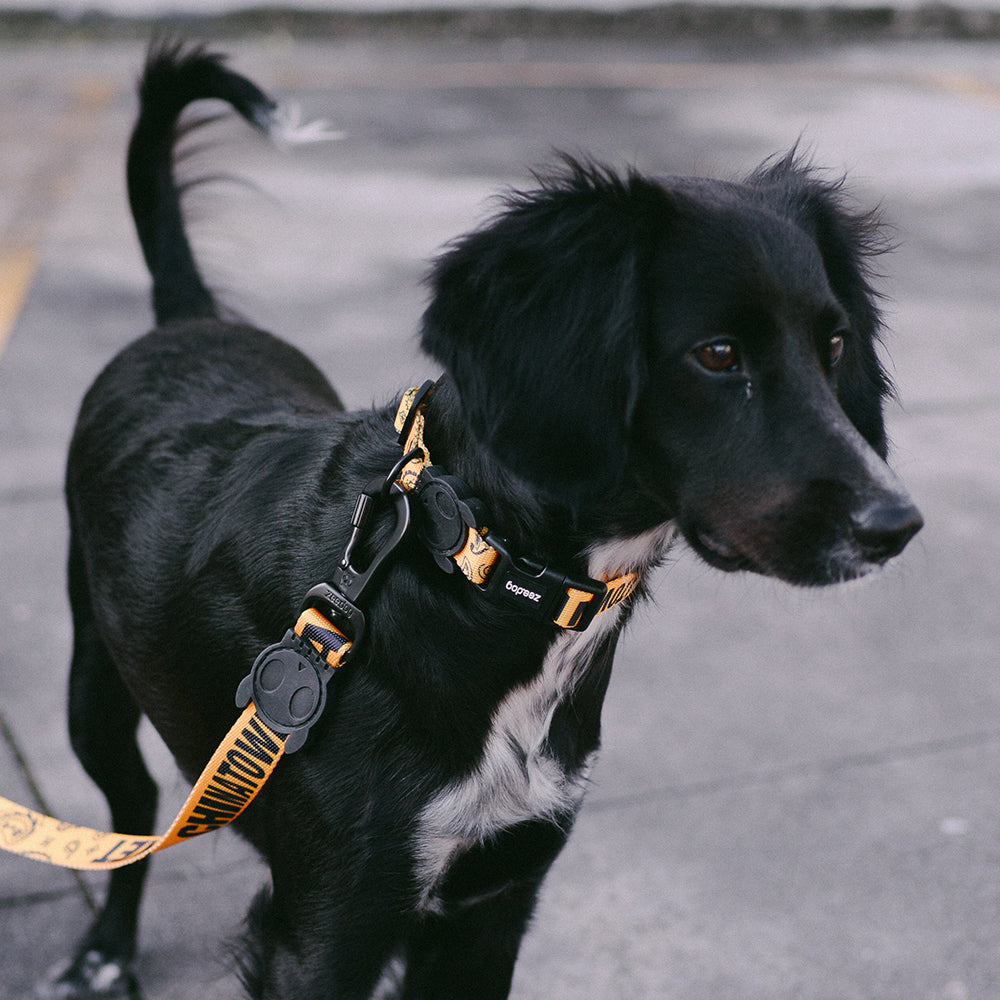 CTM YELLOW COLLAR チャイナタウンマーケット イエロー カラー