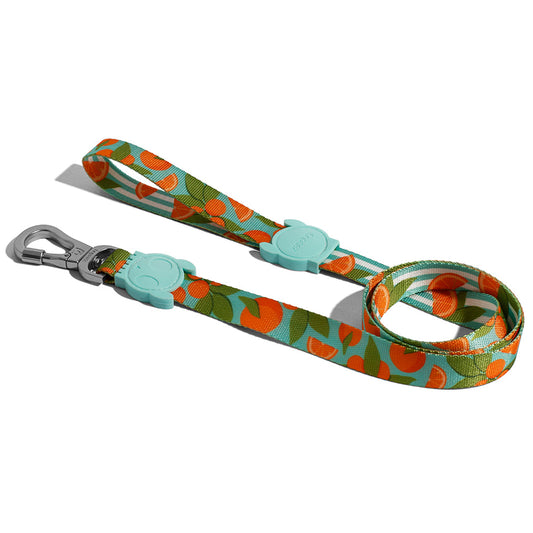 FLORIDA LEASH フロリダ リード