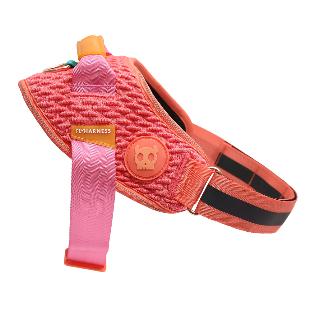 GAZELLE FLY HARNESS ガゼル フライハーネス