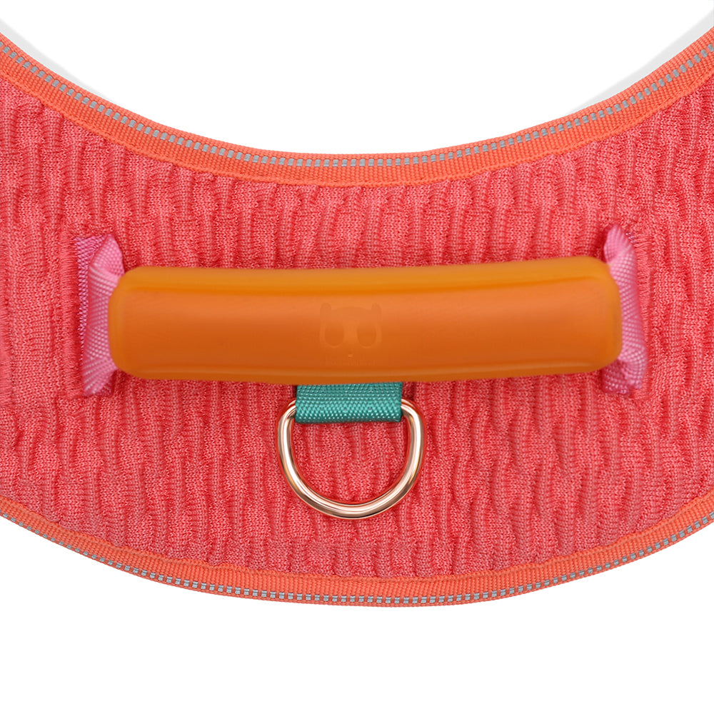 GAZELLE FLY HARNESS ガゼル フライハーネス