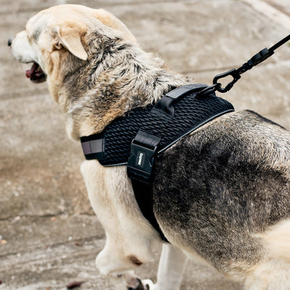 GOTHAM FLY HARNESS ゴッサム フライハーネス