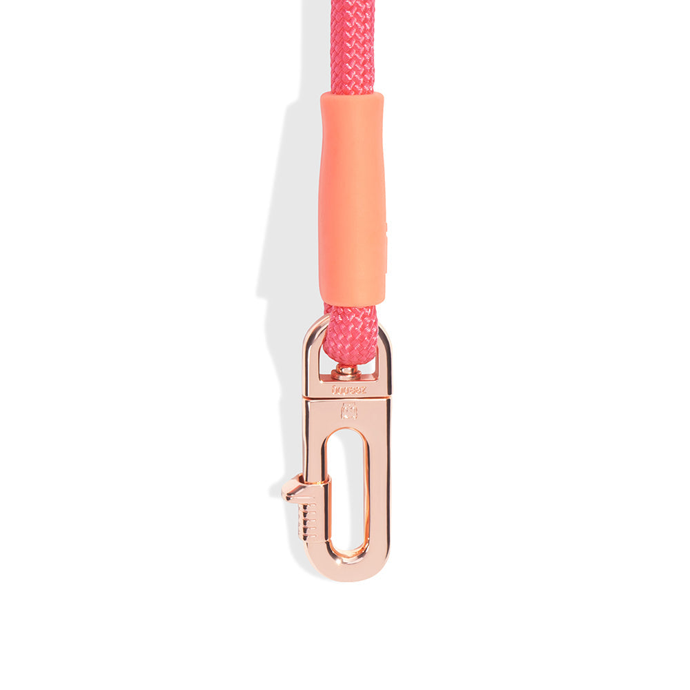 GAZELLE HANDS-FREE LEASH ガゼル ハンズフリーリーシュ