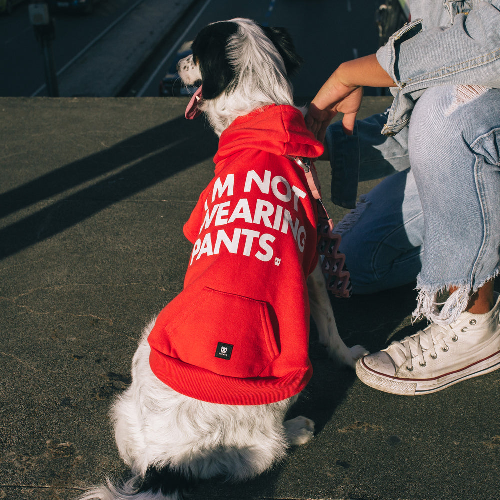 NOT WEARING PANTS RED HOODIE