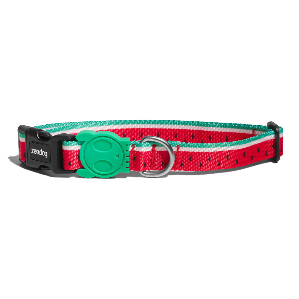 LOLA COLLAR ローラ カラー