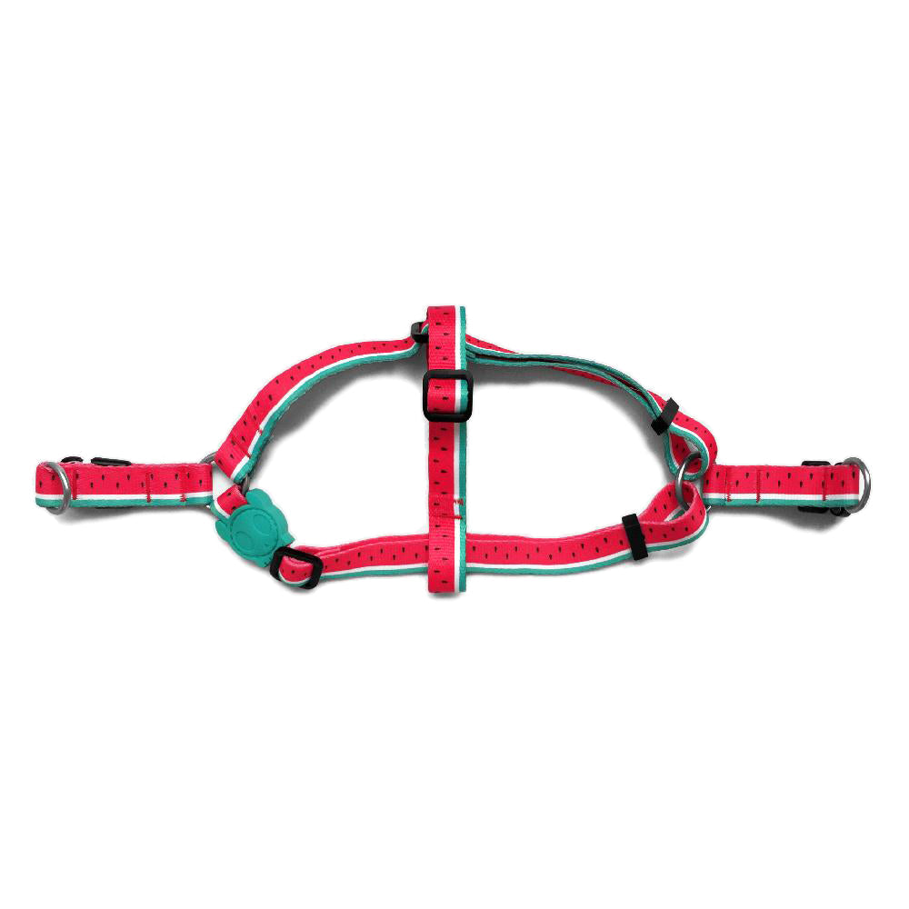 LOLA STEPIN HARNESS ローラ ステップインハーネス