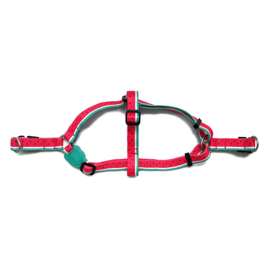 LOLA STEPIN HARNESS ローラ ステップインハーネス