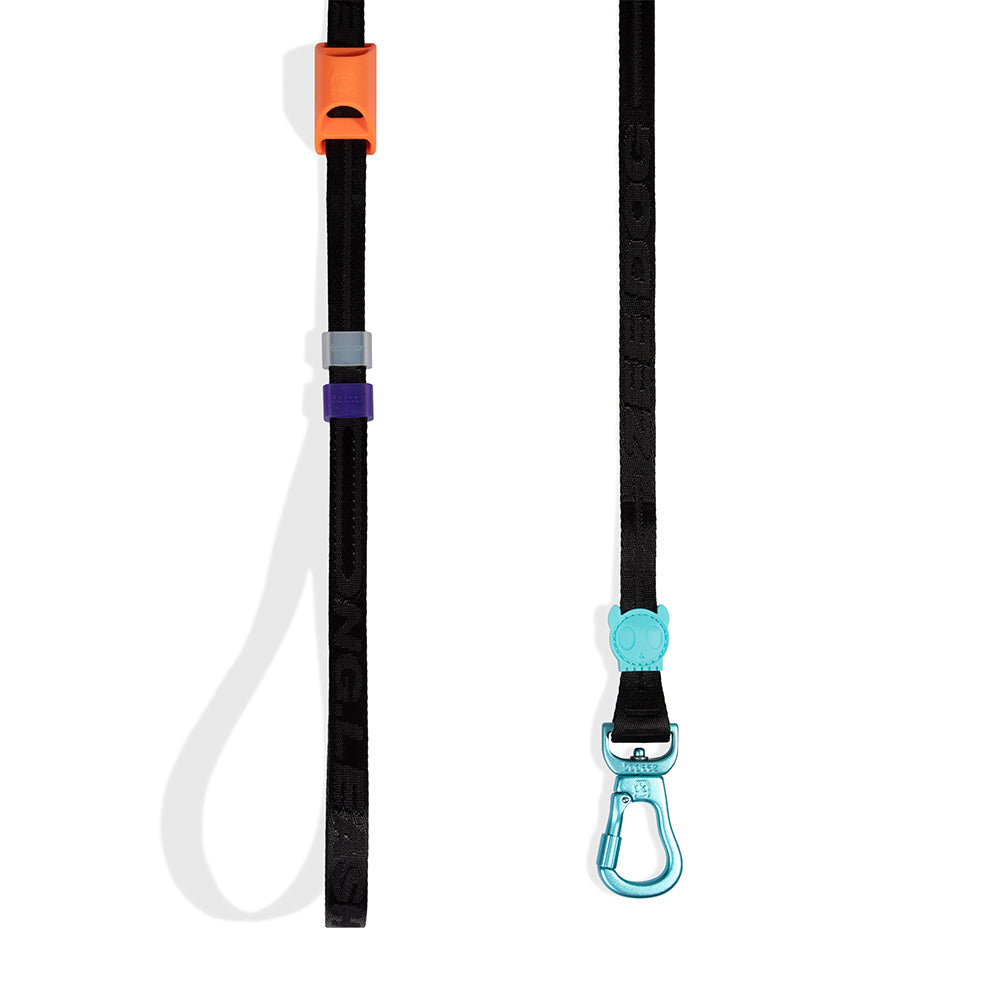 SEGUNDO LONG LEASH セグンド ロングリーシュ
