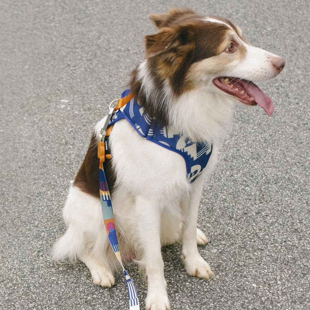 MAZE ADJUSTABLE AIR MESH HARNESS メイズ アジャスタブルメッシュハーネス