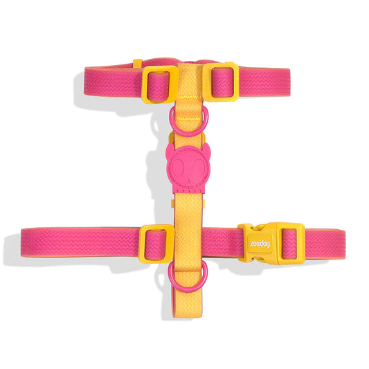 NEOPRO 2.0 LYRA H-HARNESS ネオプロ ライラ Hハーネス