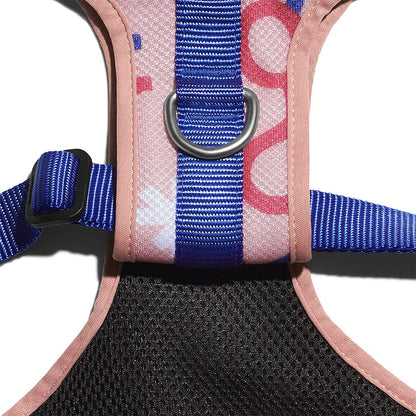 PINNA MESH HARNESS ピナ メッシュハーネス