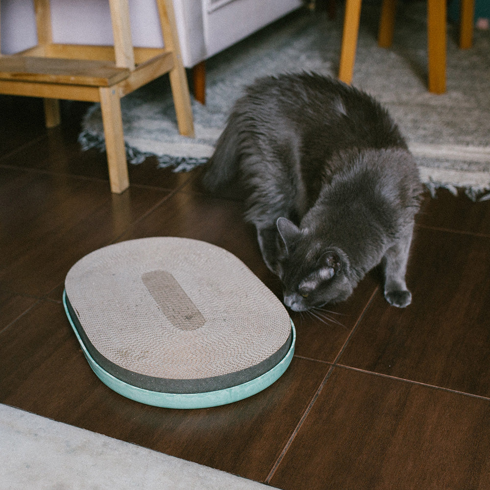 SCRATCHER MINT スクラッチャー ミント
