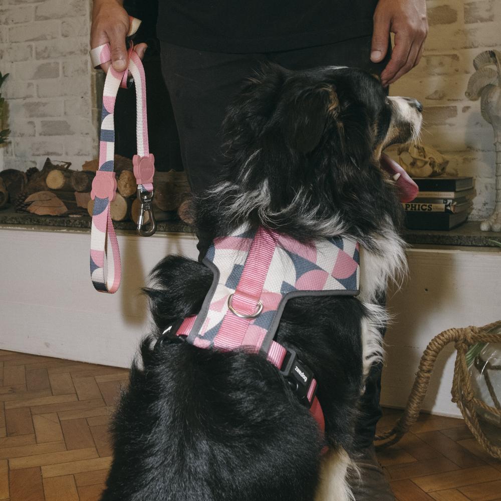SPLIT ADJUSTABLE AIR MESH HARNESS スプリット アジャスタブルメッシュハーネス