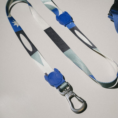 TAROT LEASH タロット リード