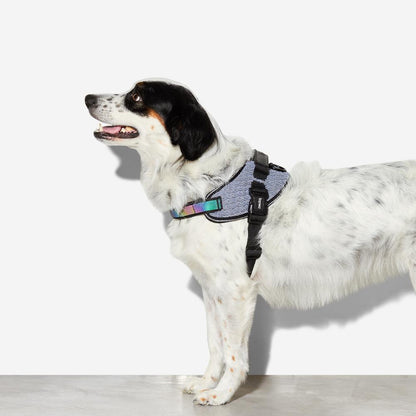 URBAN FLY HARNESS アーバン フライハーネス