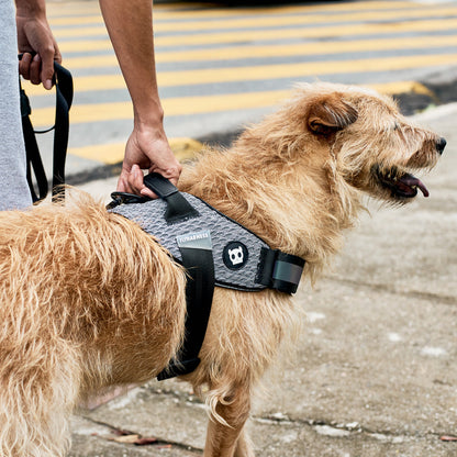 URBAN FLY HARNESS アーバン フライハーネス