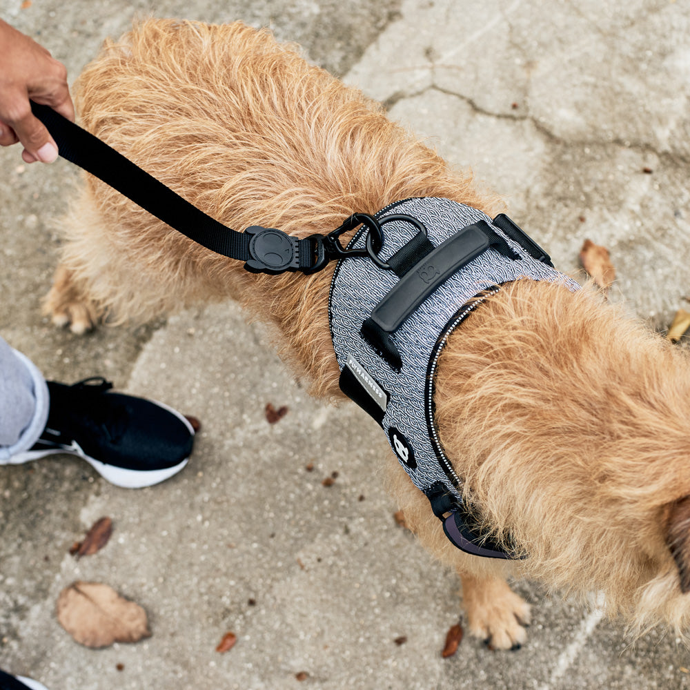 URBAN FLY HARNESS アーバン フライハーネス