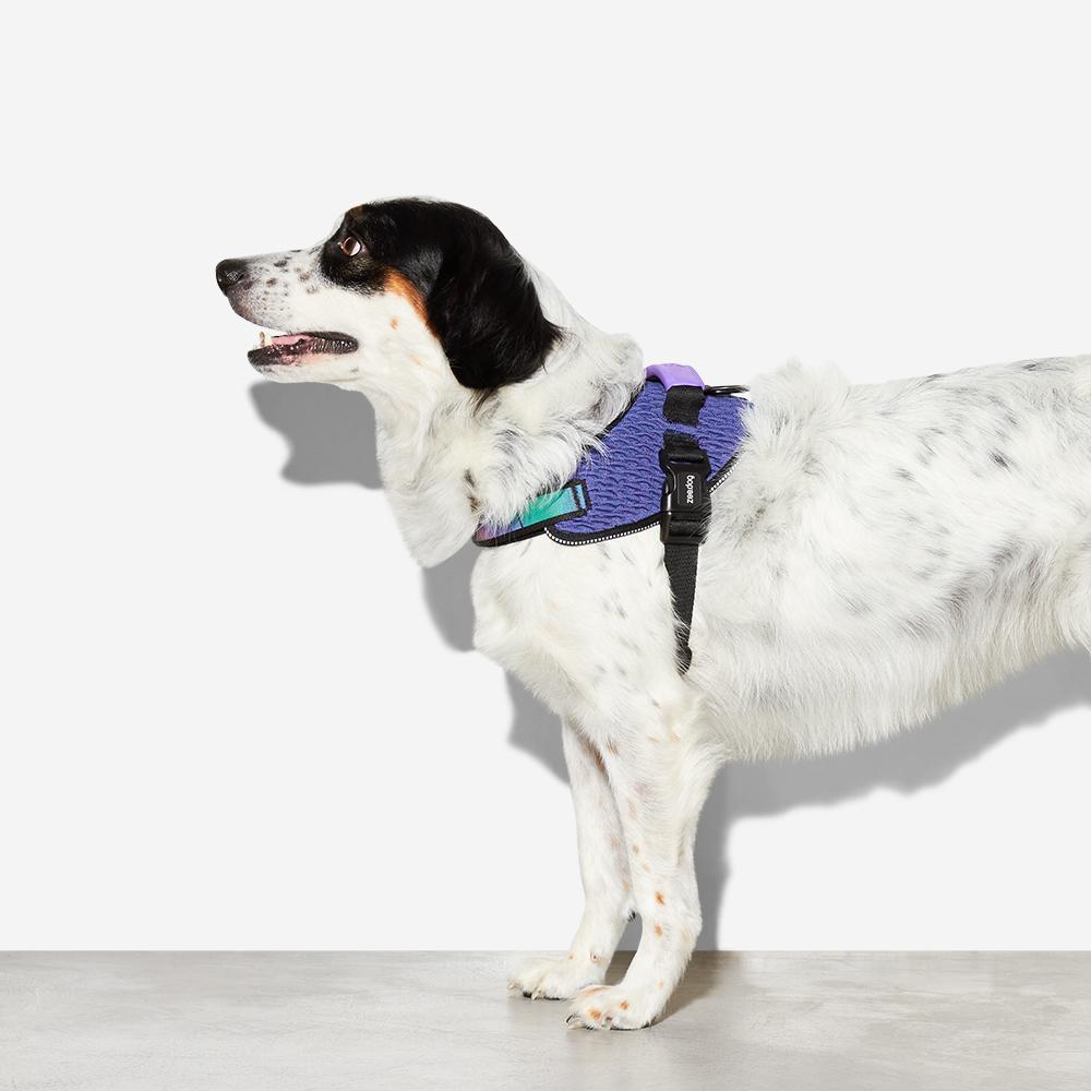 WICKED FLY HARNESS ウィキッド フライハーネス