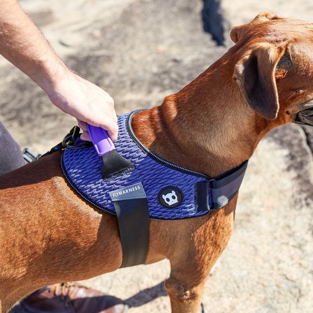 WICKED FLY HARNESS ウィキッド フライハーネス