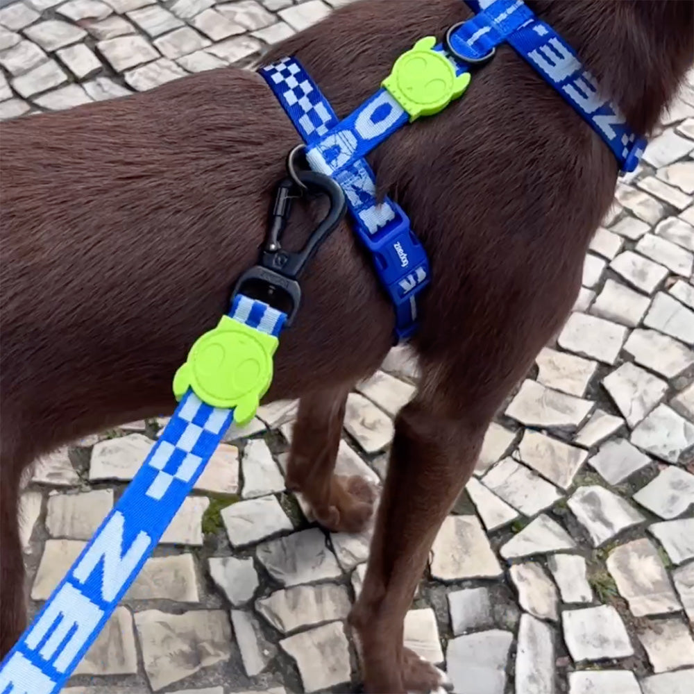 ASTRO LEASH アストロ リード