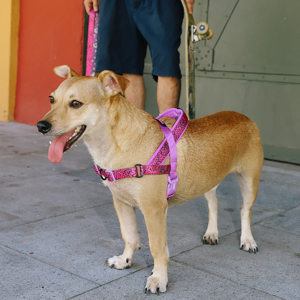 ZEE.TOWN BRAIN SOFTER WALK HARNESS ジータウン ブレイン ソフターウォークハーネス