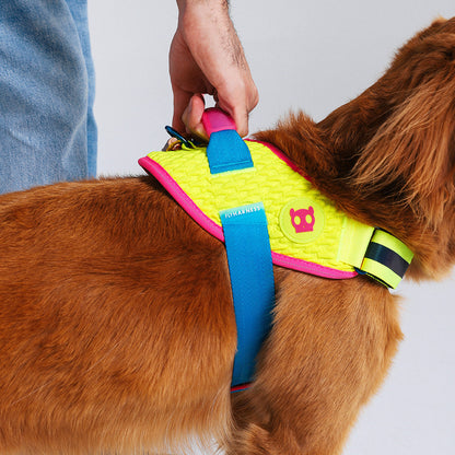 CMYK FLY HARNESS CMYK フライハーネス