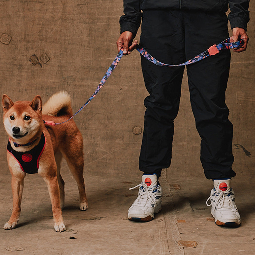 Reebok COURT LEASH リーボック コート リード